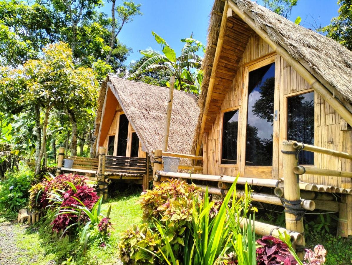 Wanagiri Campsite Gitgit Exterior photo