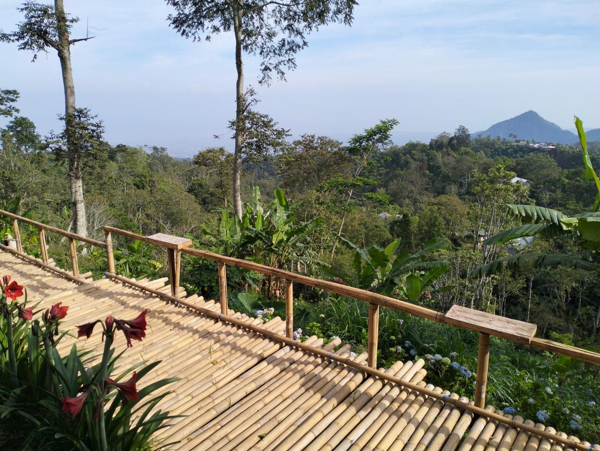 Wanagiri Campsite Gitgit Exterior photo